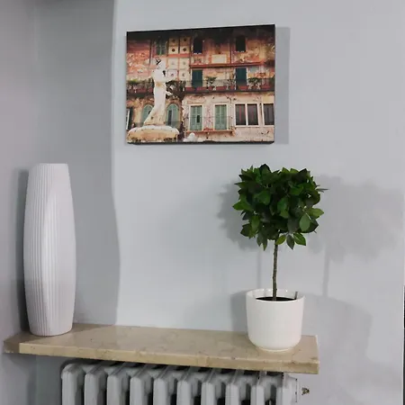 Apartment Carega Center *